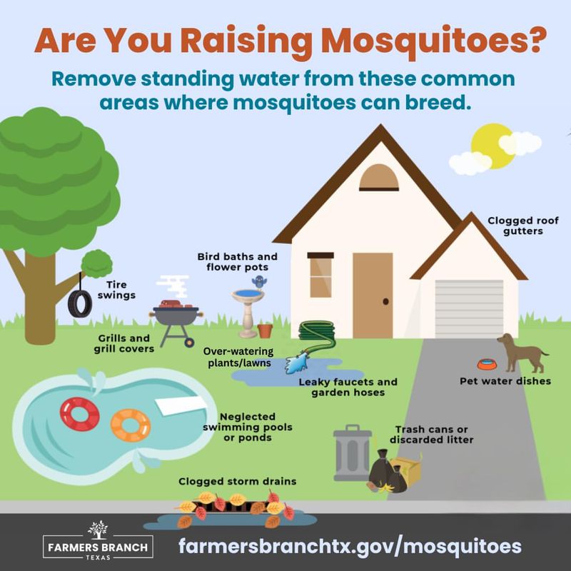 Manage mosquitoes directly with water removal and barriers Manage mosquitoes directly with water removal and barriers