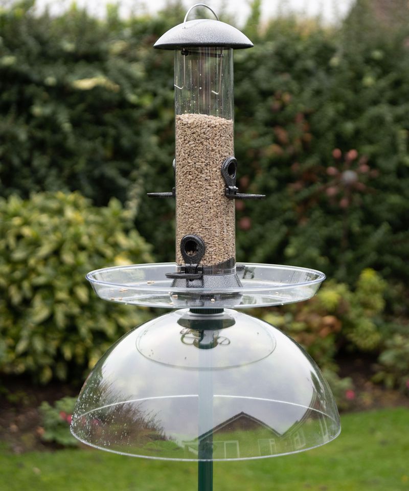 Manage the feeder without giving up backyard birds Manage the feeder without giving up backyard birds