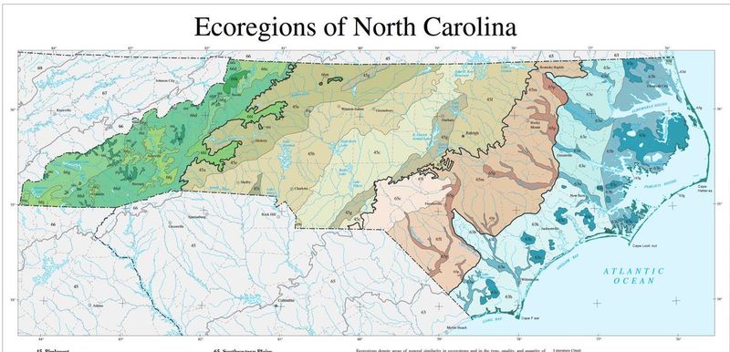 Match the Decision to Your North Carolina Region