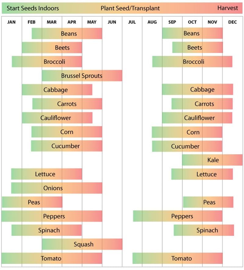 Match the fall crop to your local planting window