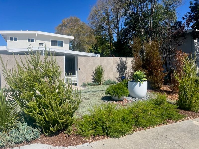 Match the shrub to the yard before planting