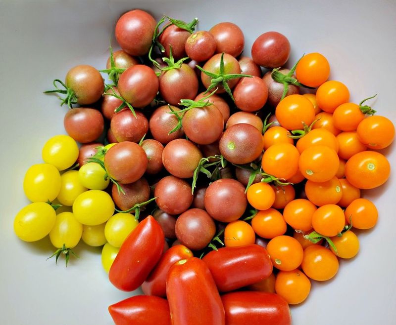 Maturity, heat, and variety change the risk