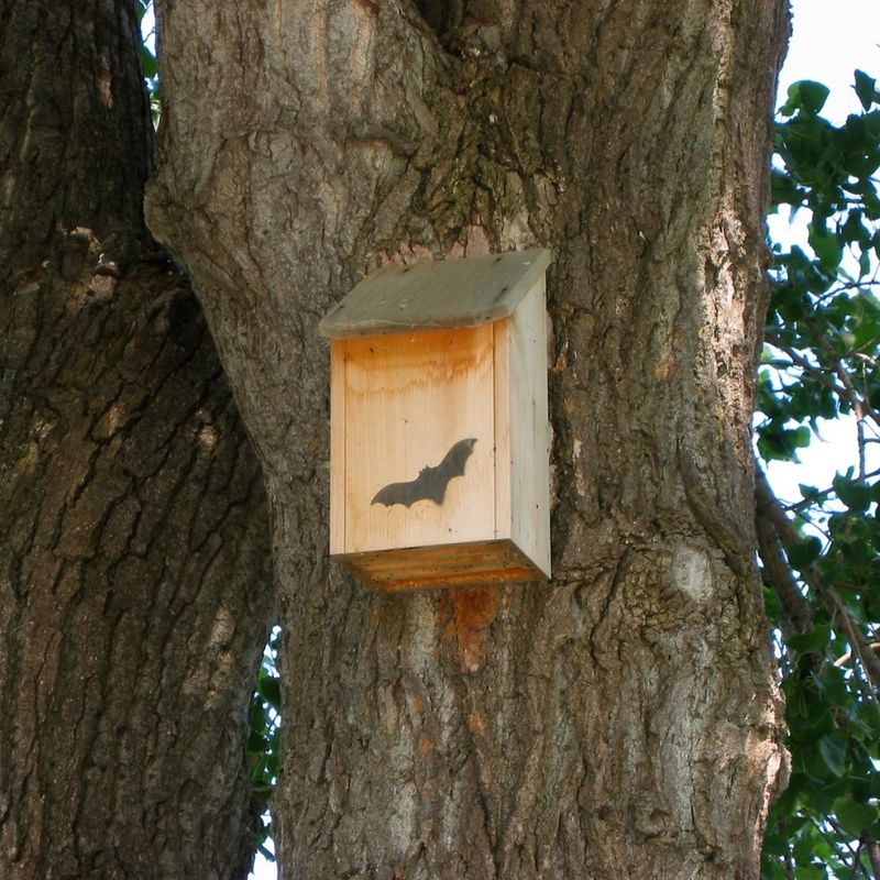 Measure success by habitat support, not mosquito promises Measure success by habitat support, not mosquito promises
