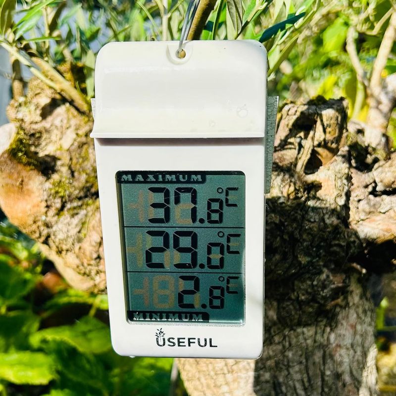 Measure the heat where the plant grows