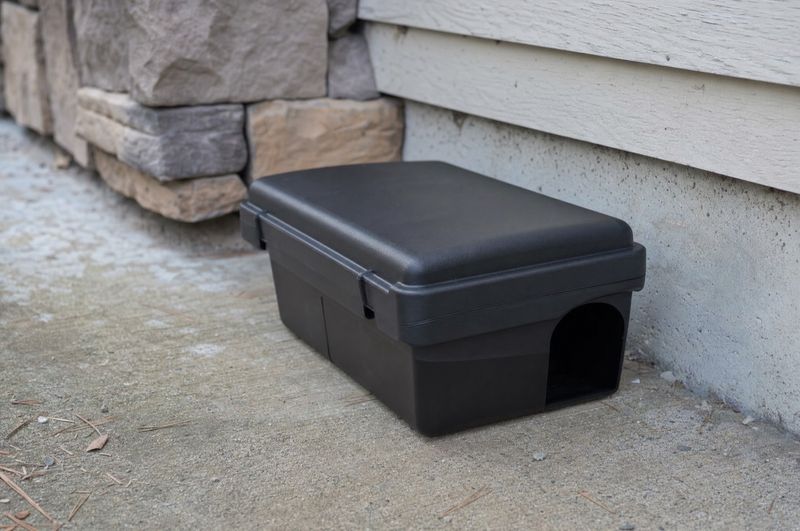 Monitor first, then use traps when signs justify control