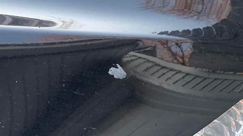 Monitor, report, and prevent accidental transport
