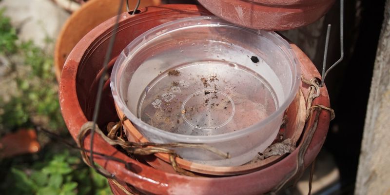 Mosquito reduction starts with water, not wildlife Mosquito reduction starts with water, not wildlife