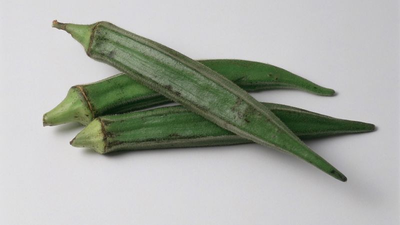Most woody pods are past their tender stage