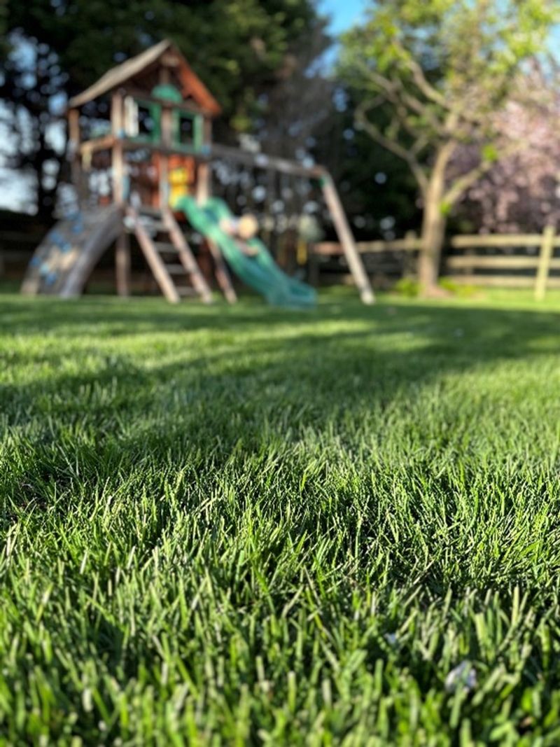 Move play and sitting areas away from dense edges