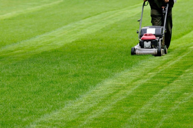 Mow to reduce additional heat stress