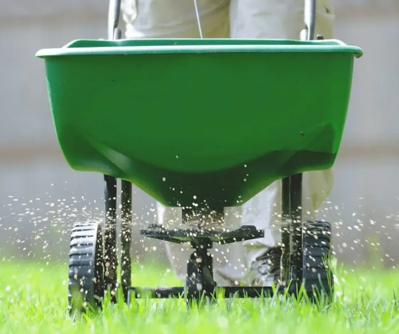 Mowing and fertilizer cannot overcome a bad growing site
