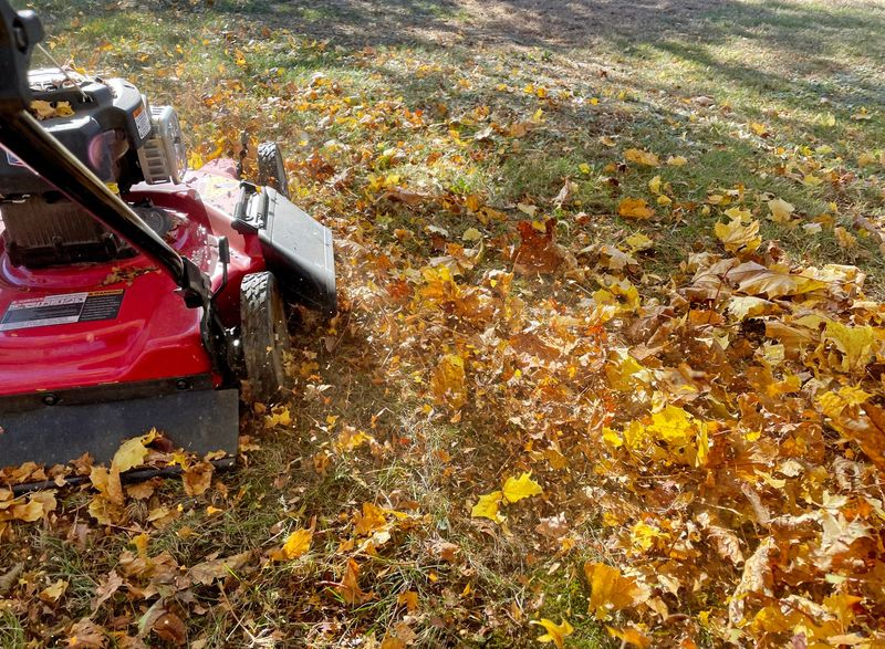 Mowing leaves can replace some of the fall cleanup