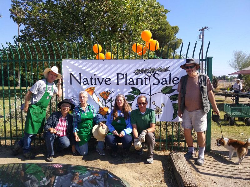 Native Plant Society Chapter Sales and Freebies