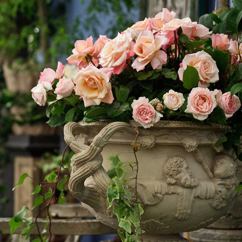 New plantings and containers dry faster