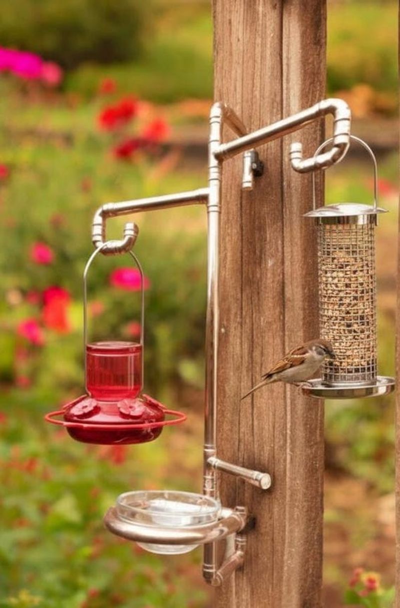 Next to a Bustling Bird Feeder