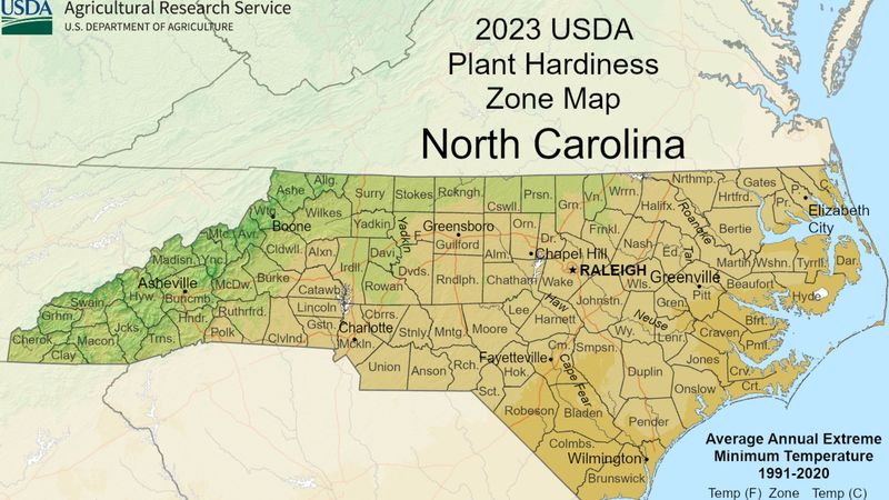 North Carolina location determines winter risk