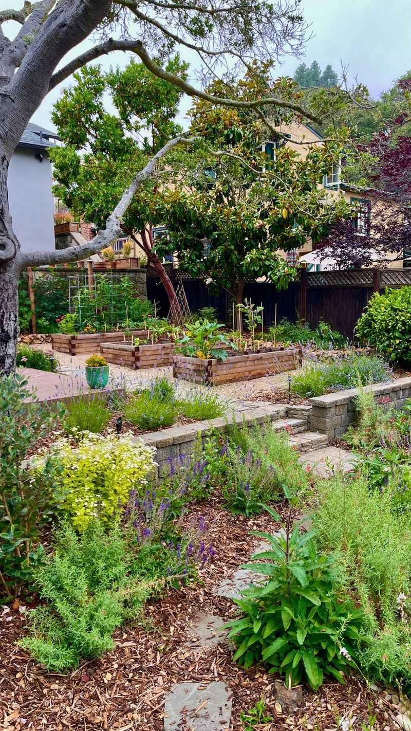 Offer Refuge Without Overwatering