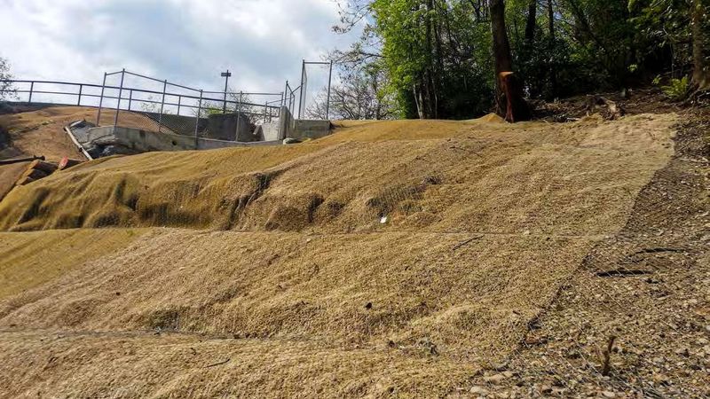 Pair living cover with erosion control when needed
