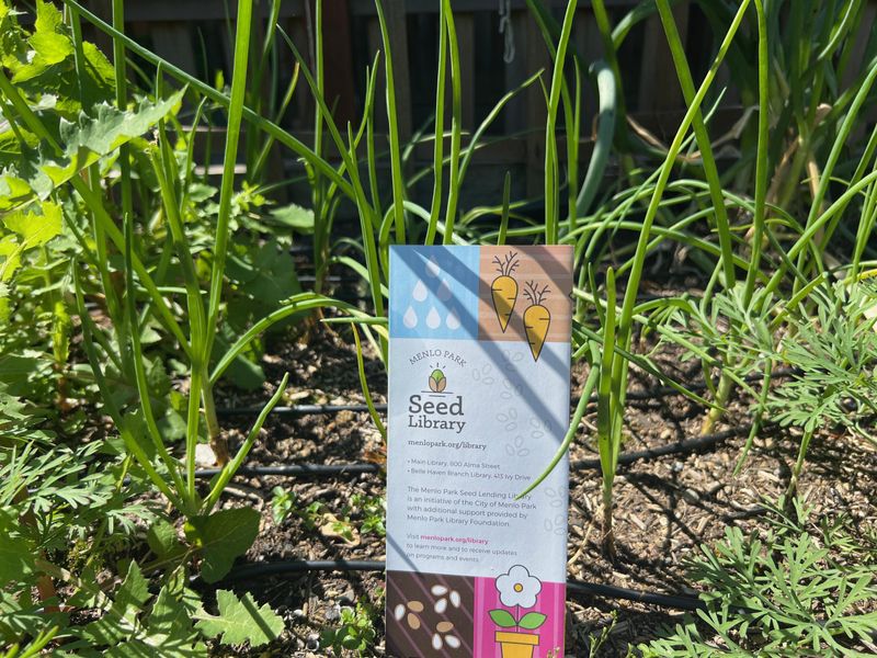 Palo Alto Seed Library