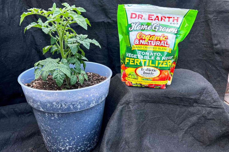 Pause blind feeding and test before adding nutrients