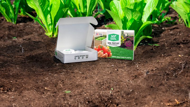 Pause nitrogen and test the soil before adding anything else Pause nitrogen and test the soil before adding anything else