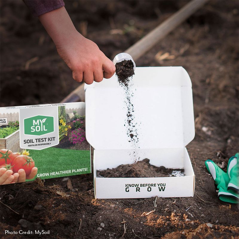 Pause unnecessary high-nitrogen feeding and test the soil Pause unnecessary high-nitrogen feeding and test the soil