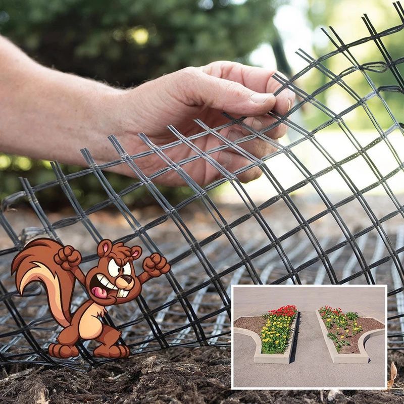 Physical barriers protect crops more reliably than odor alone Physical barriers protect crops more reliably than odor alone