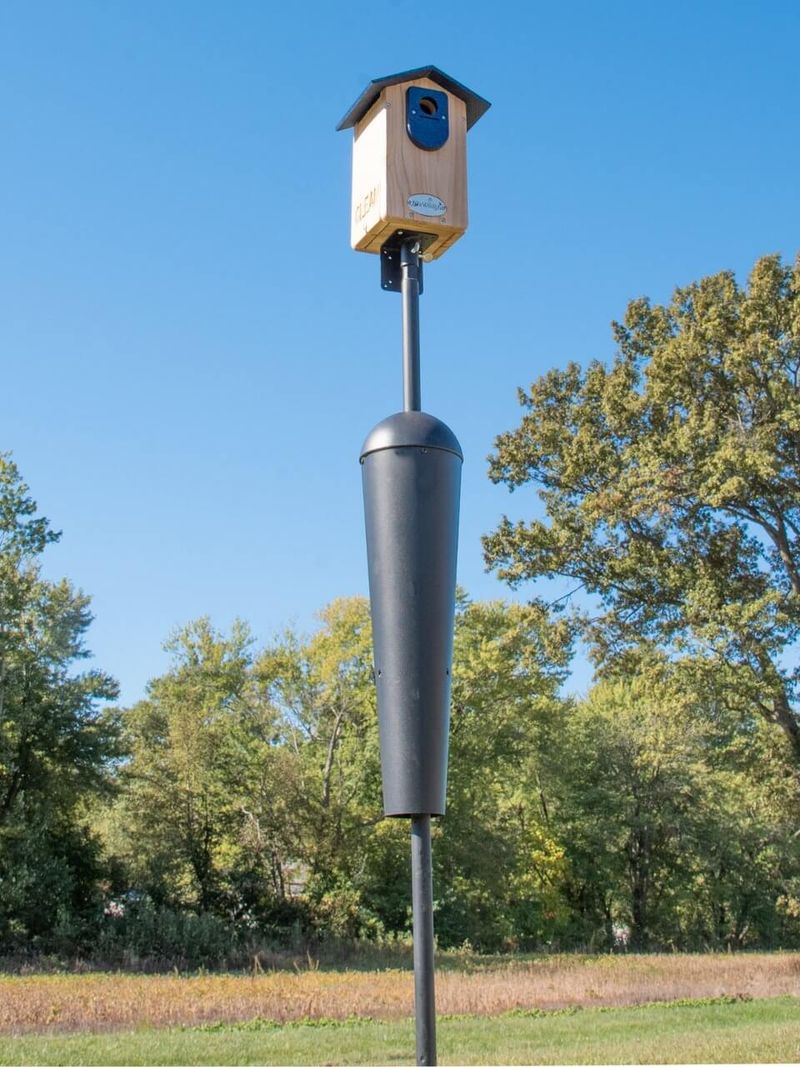 Place and monitor the box for the whole habitat