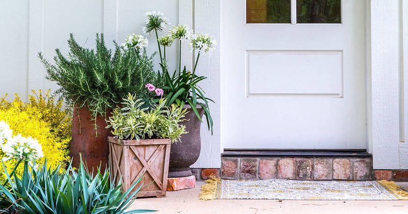Place the container without adding shelter at the threshold