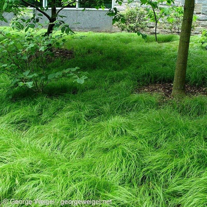 Plan for modest maintenance and meaningful habitat value