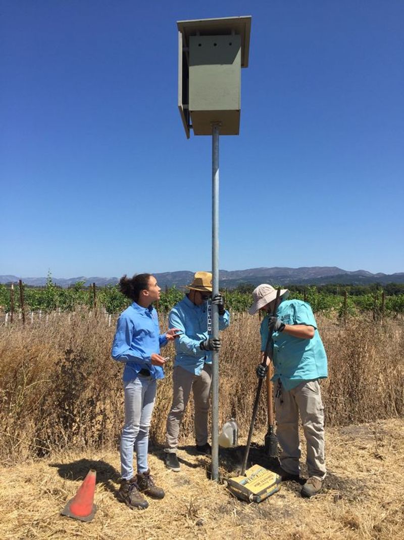 Plan nonintrusive box maintenance for late summer or fall