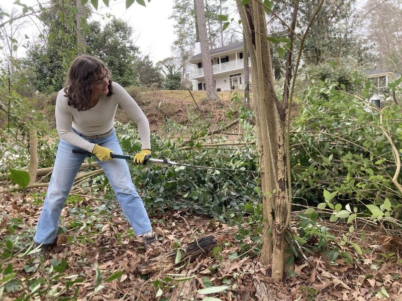 Planned removal can improve the yard