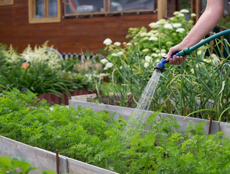 Prepare a deep, clean root zone before sowing Prepare a deep, clean root zone before sowing