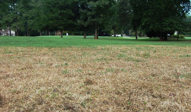 Prepare the Turf for a Targeted Application