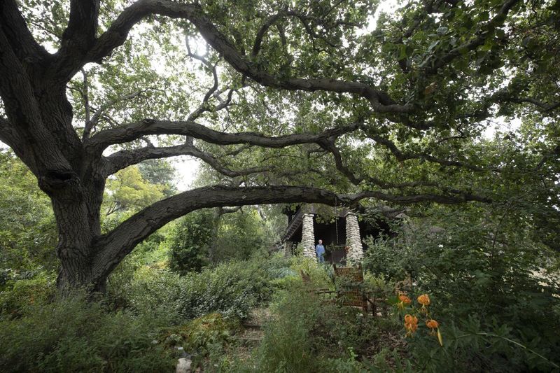 Preserve existing shade, shelter, and natural refuge