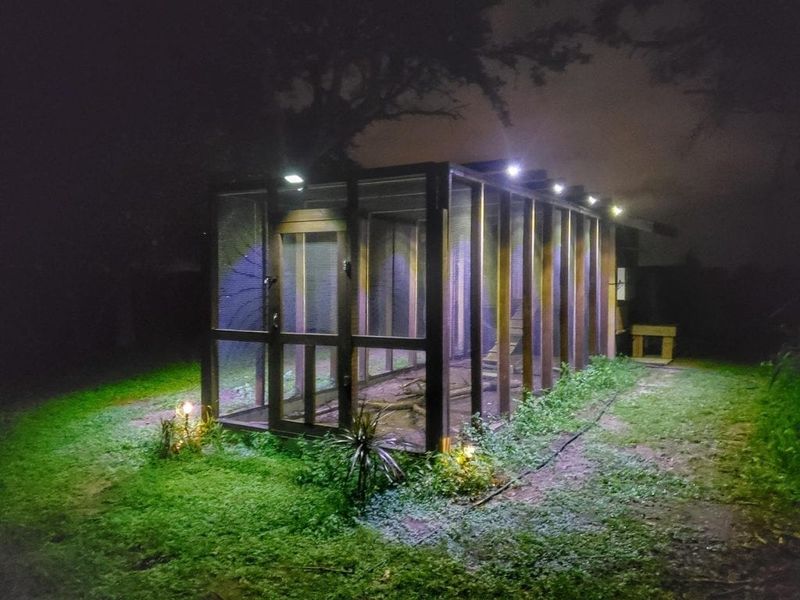 Protect Pets and Manage a Possible Den Safely