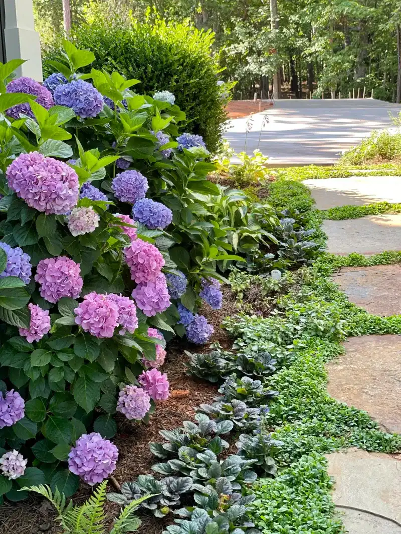 Protect next season’s flowering potential