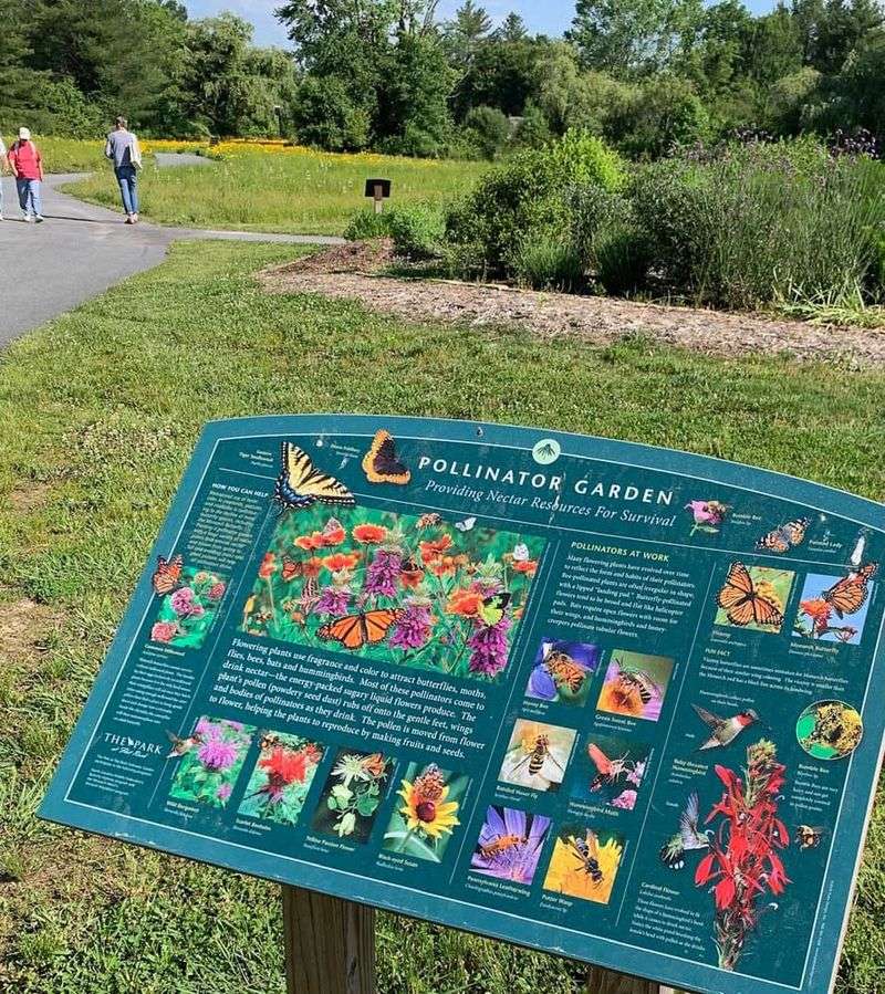 Protect pollinators after you plant Protect pollinators after you plant