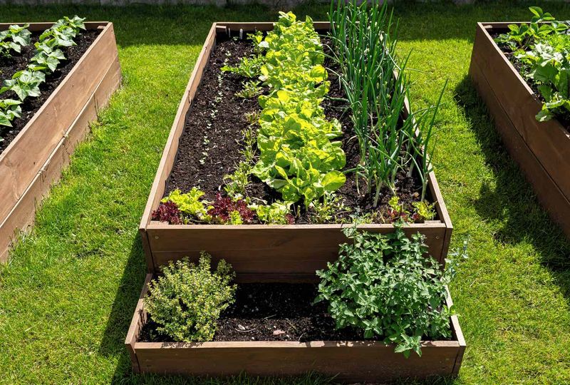 Protect roots and test before changing the soil