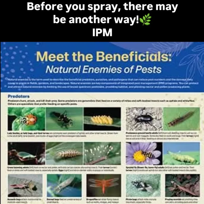 Protect the Wider Natural-Enemy Community