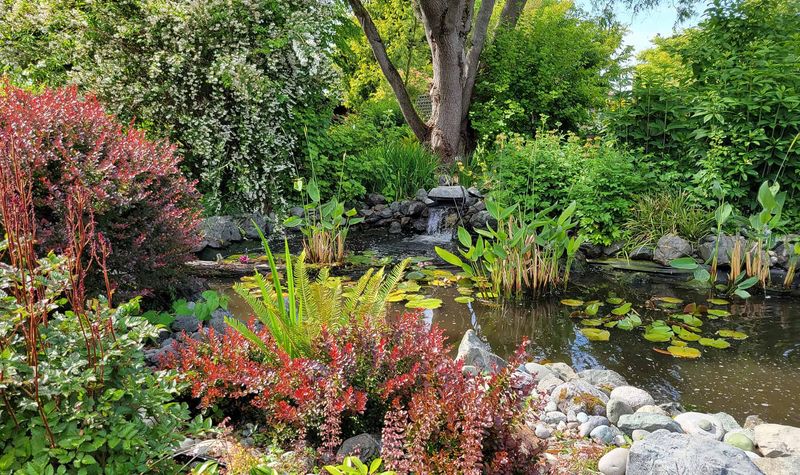 Protect the habitat without spraying for a guaranteed result