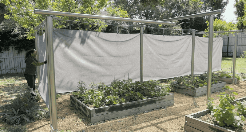 Protect the next peppers with a pattern-based check