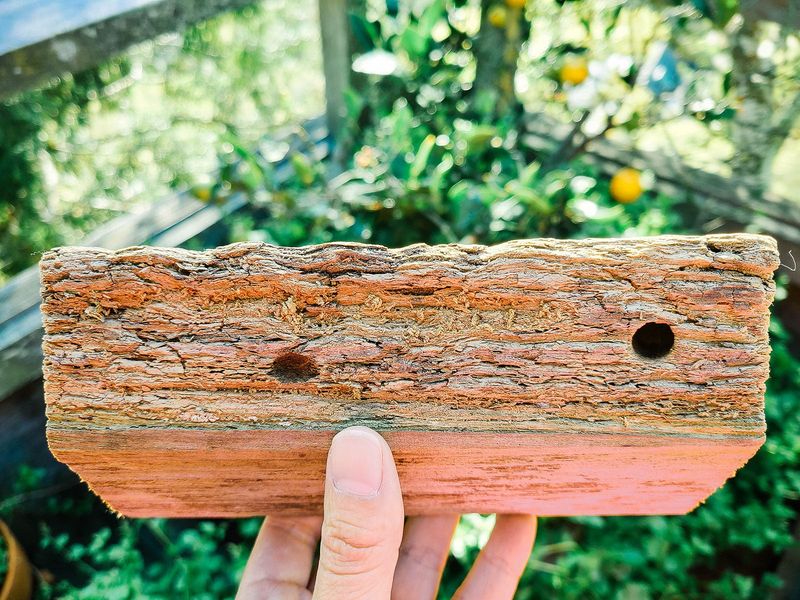 Protect the rail without treating every bee as a threat