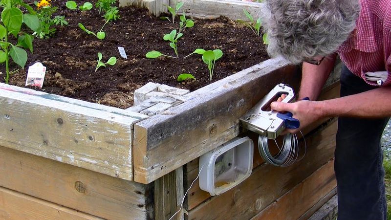 Protect vulnerable plants with removal and barriers