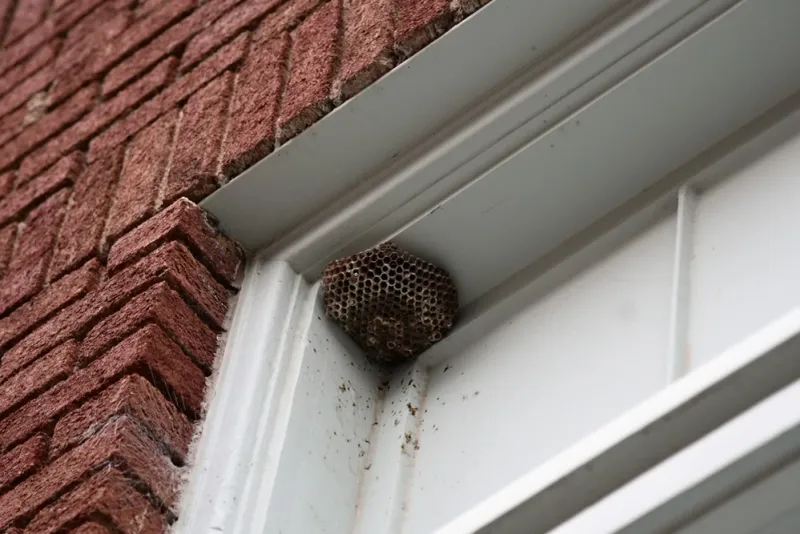 Protected Porch Spots Can Matter More Than Any Plant