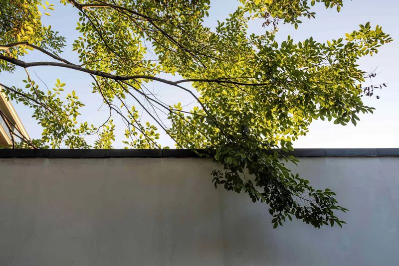 Pruning stops at the line—and reasonableness still matters