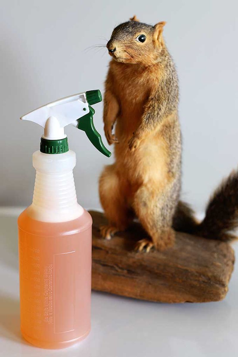 Reapplication determines how long a repellent can help Reapplication determines how long a repellent can help
