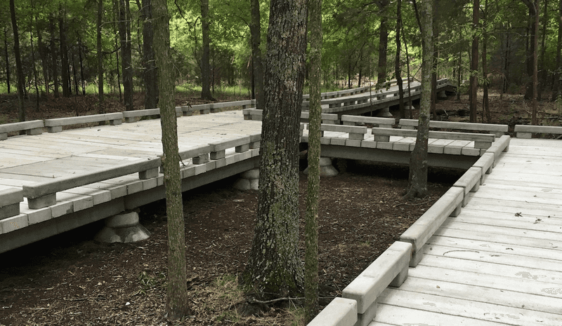 Redesign the site before removing a healthy tree