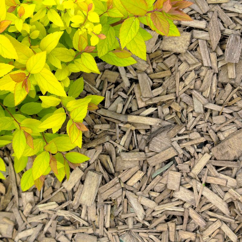 Reduce Tick Habitat Around the Deck