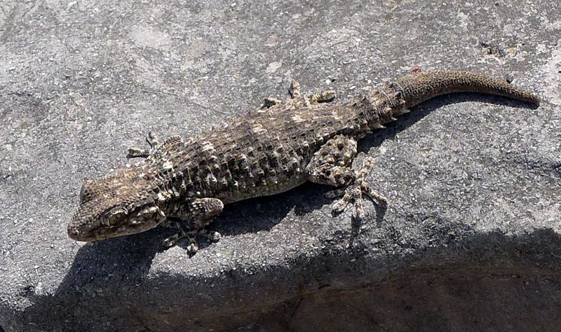 Reduce chemical threats to the habitat